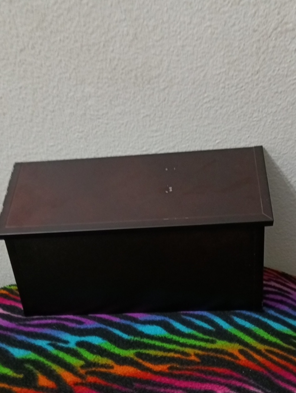 Home Mail Box (Does Not Have The Hook Ups)